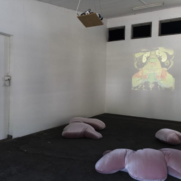 Charlotte Olivieri (Bachelor)
Entrailles bien gardées, 2020, installation, projection en boucle (17'54'') et poufs (velours et perles de polystyrène) de dimensions variables
Charlotte Olivieri est en 1994 à Vevey. Elle vit et travaille entre Sierre et Vevey.