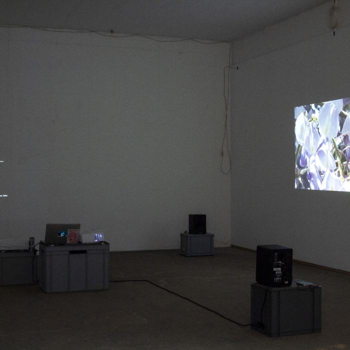 Emanuelle Kläfiger (Master)
Elle aura entendu, She will have heard, 2 canaux de vidéo et 2 canaux de son, Installation avec 4 caissons, 1 ordinateur et 2 Smartphones, boucle asynchrone de 8', 2020
Emanuelle Kläfiger est actuellement basée entre Lausanne et Leysin. Dans ses installations multimédia, elle s'intéresse à la vulnérabilité et à la fragilité comme valeur de force.