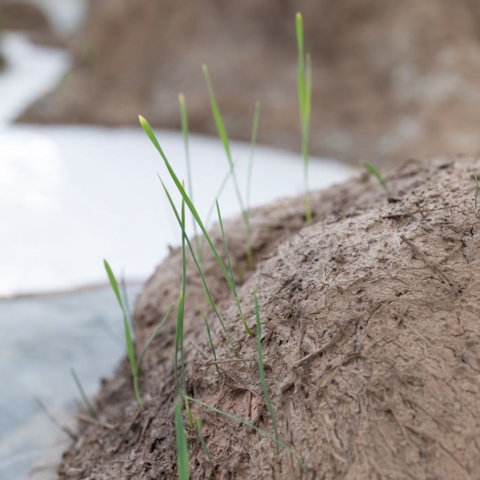 Alexandre Ghandour, Les humeurs sont liquides et les mirages solides, 2021, travail de Bachelor
Photo: Laura Morier-Genoud / EDHEA