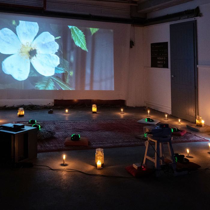 David Favre, Tandis que les cœurs des plantes commenceront à battre, 2021, travail de Bachelor
Photo: Laura Morier-Genoud / EDHEA