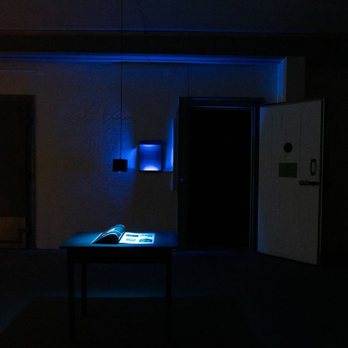 Carolina Opazo, Inverse magnetism / Magnetismo inverso, 2021, travail de Master
Photo: Laura Morier-Genoud / EDHEA