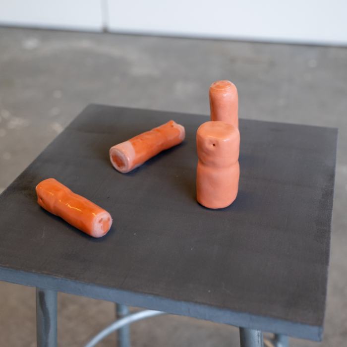 Léna Lacrabère, Ils n'auront qu'à laper le lait, 2022, travail de Bachelor
Photo: Laura Morier-Genoud / EDHEA