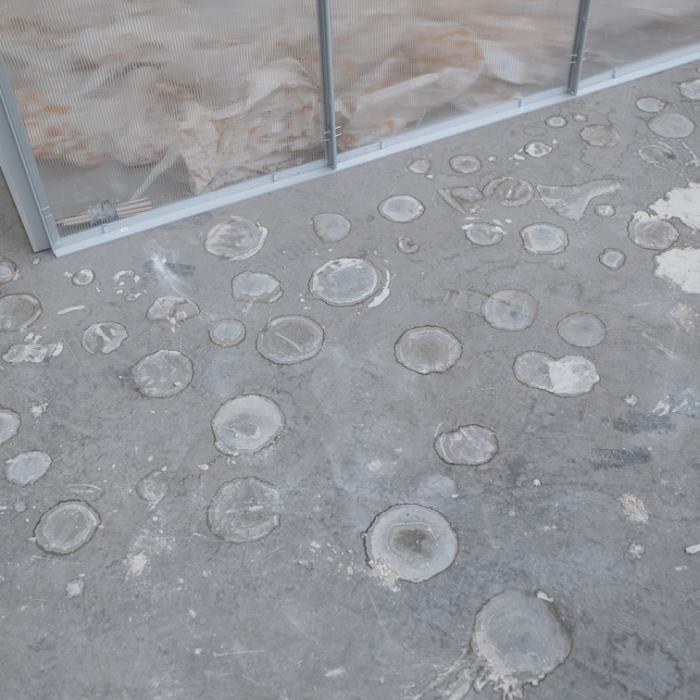 Marcia Domenjoz, Kin-ship, 2022, travail de Bachelor
Photo: Laura Morier-Genoud / EDHEA