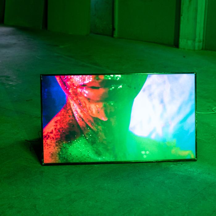 Al Gutierrez, After Laughter Comes Drool, 2022, travail de Master
Photo: Laura Morier-Genoud / EDHEA