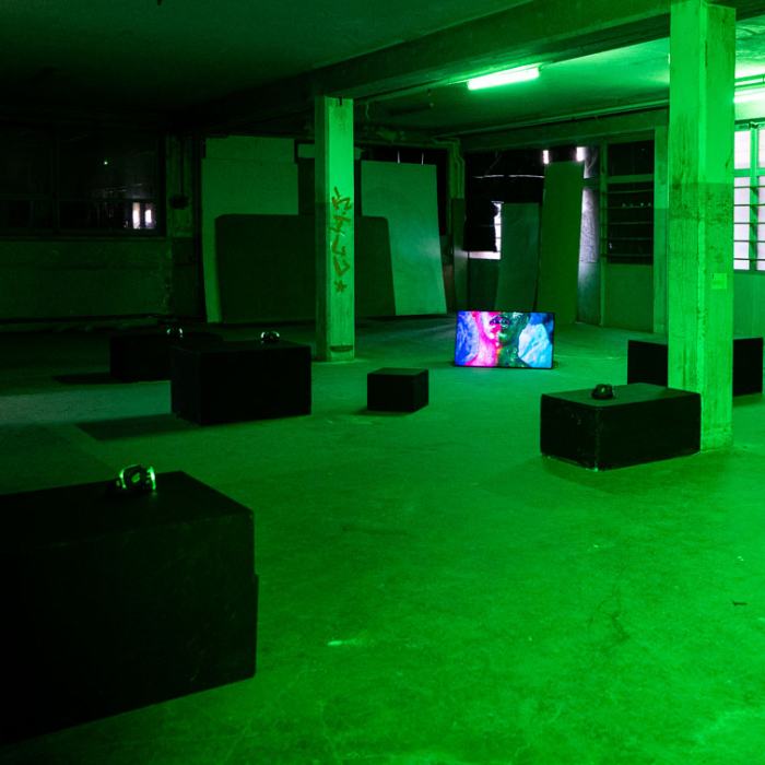 Al Gutierrez, After Laughter Comes Drool, 2022, Master's work
Picture: Laura Morier-Genoud / EDHEA