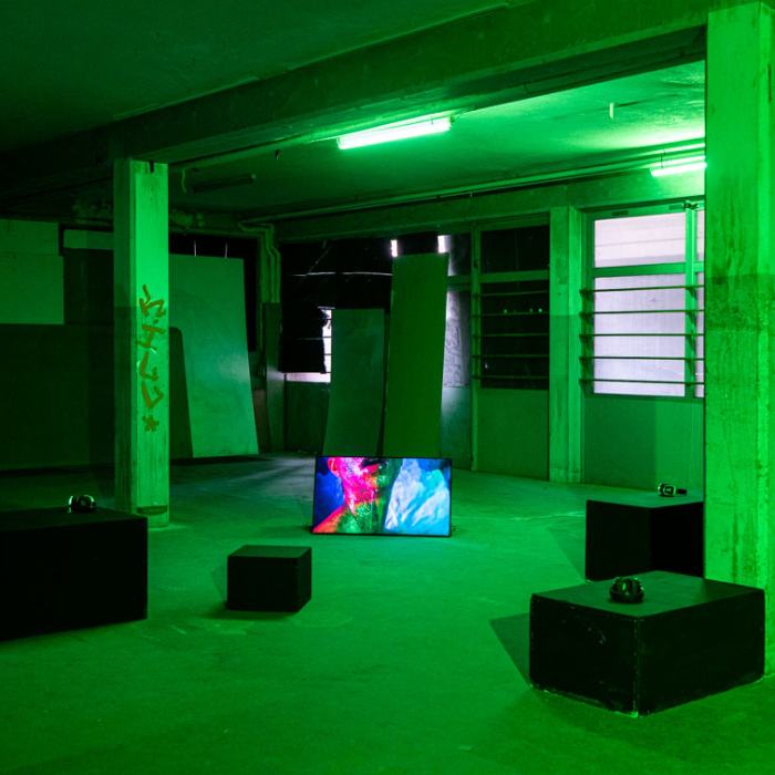 Al Gutierrez, After Laughter Comes Drool, 2022, Master's work
Picture: Laura Morier-Genoud / EDHEA