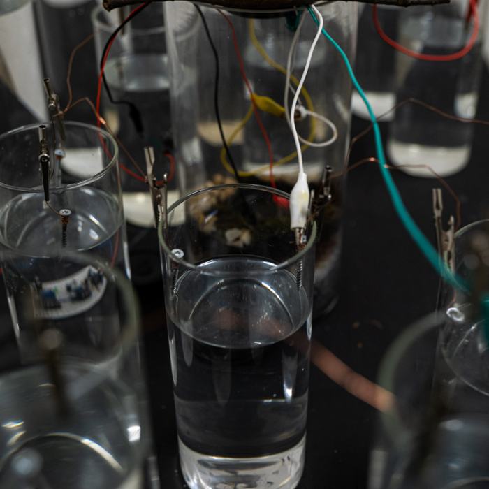 Mohamad Haryo Hutomo, Oceanic Power, 2022, travail de Master
Photo: Laura Morier-Genoud / EDHEA