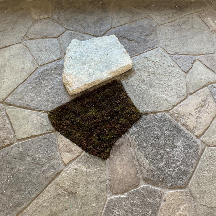 Jonathan Leggett, Domestique, 2022