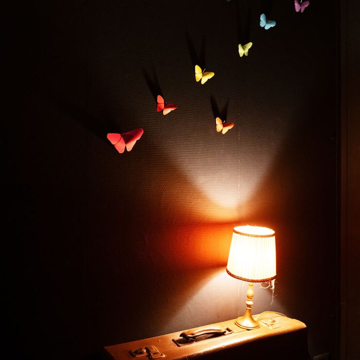 Laureline Terrier, Là où naissent les songes, 2023, travail de Bachelor
Photo: Fi'Ni Studio  / EDHEA