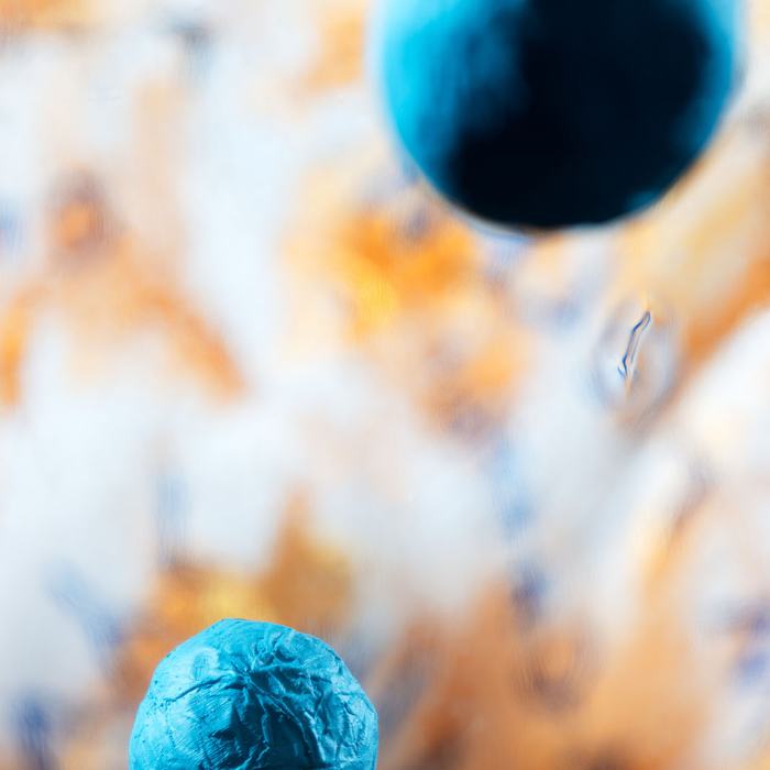 Caitlin Aiston Valloton, Mother Earth, Father Sun, Moon Dog (un espace vivant), 2023, travail de Master
Photo: Fi'Ni Studio  / EDHEA