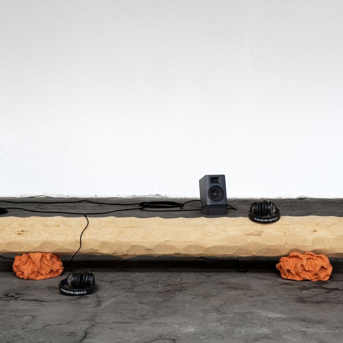 Laure Gonthier, What happens to the dream when the dreamer dies, 2023, travail de Master
Photo: Fi'Ni Studio  / EDHEA