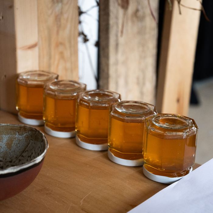 Lorane Jäggi, Tout se mange dans l'pissenlit, «C B T F .»,  2024, travail de Bachelor
Photo: Maurice Eggel  / EDHEA