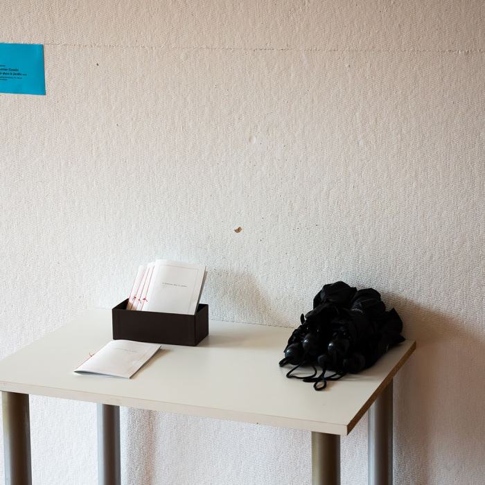 Maëlle Fournier (Cassis), À découvrir dans le jardin,  2024, travail de Bachelor
Photo: Maurice Eggel  / EDHEA