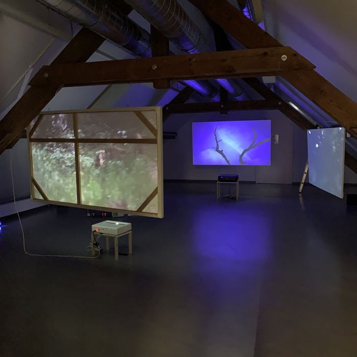 Tanya Orlowsky, Crépuscule du soir, 2024, travail de Bachelor
Photo: EDHEA