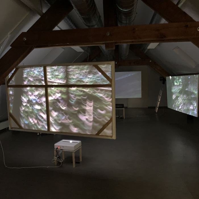 Tanya Orlowsky, Crépuscule du soir, 2024, travail de Bachelor
Photo: EDHEA