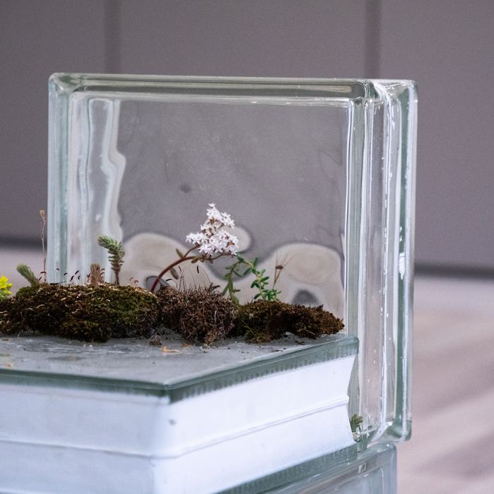 Ysadora Fraile, La fenêtre sur les âmes, 2024, travail de Bachelor
Photo: Maurice Eggel  / EDHEA