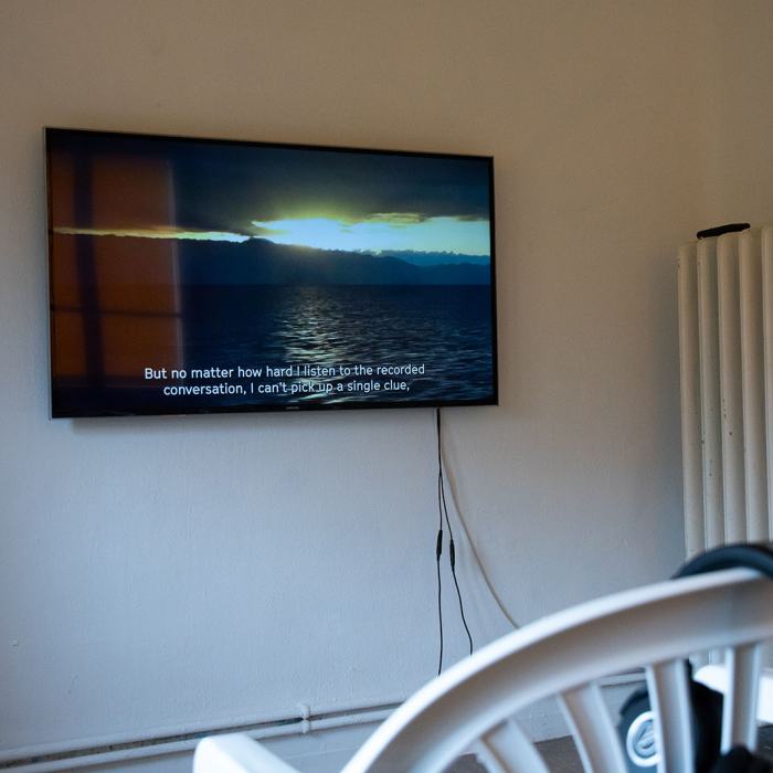 Anica Lora Nižić, Intertwine politics, organize it, throw it on the floor, throw it in the corner, kick it with my shoes and then look at it again. (Entremêler la politique, l’organiser, la jeter par terre, la jeter dans un coin, lui donner un coup de pied avec mes chaussures et la regarder à nouveau.), 2024, travail de Master
Photo: Maurice Eggel  / EDHEA