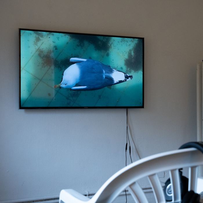 Anica Lora Nižić, Intertwine politics, organize it, throw it on the floor, throw it in the corner, kick it with my shoes and then look at it again. (Entremêler la politique, l’organiser, la jeter par terre, la jeter dans un coin, lui donner un coup de pied avec mes chaussures et la regarder à nouveau.), 2024, travail de Master
Photo: Maurice Eggel  / EDHEA