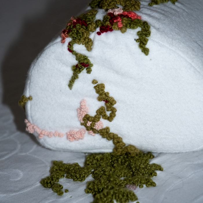 Marcia Domenjoz, Tomb Womb, 2024, travail de Master
Photo: Maurice Eggel  / EDHEA