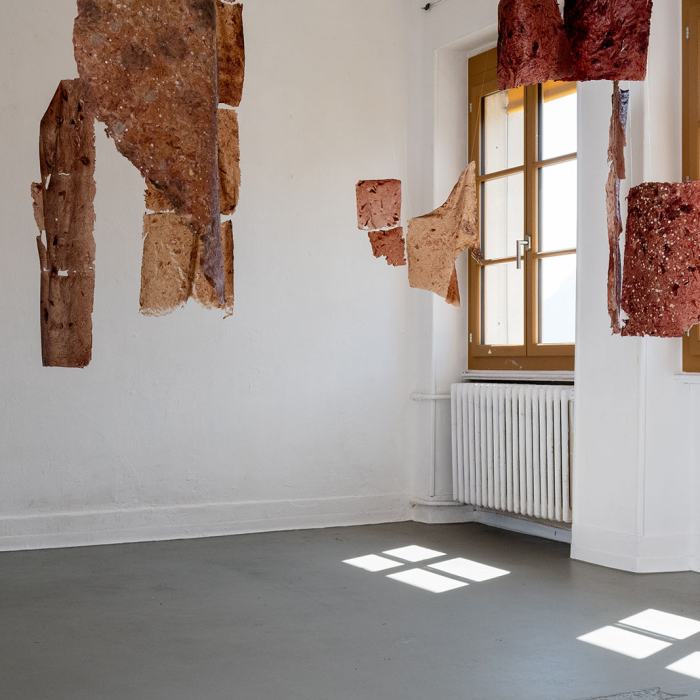 Florane Jamet-Locatelli, Peaux-territoires, travail de Bachelor
Photo: Maurice Eggel  / EDHEA