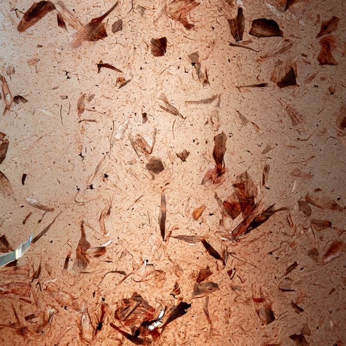 Florane Jamet-Locatelli, Peaux-territoires, travail de Bachelor
Photo: Maurice Eggel  / EDHEA