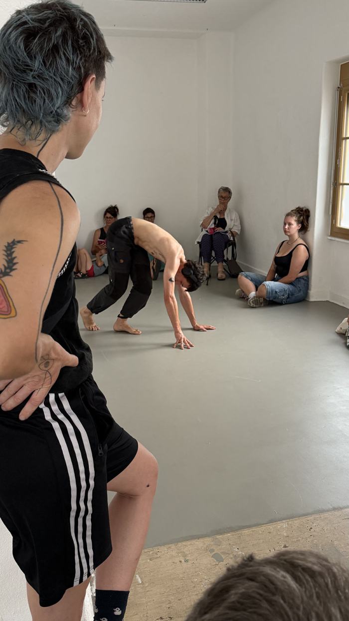 Lucas Teixeira, 46°17’36.2»N 7°31’16.0»E ; 25.04.12_14:21, travail de diplôme Bachelor