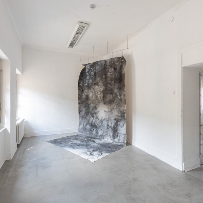 Liqi Wang, La grille, Devenir, Entrer dans, Croître vers l’extérieur (The grid, Becoming, Go into, Grow outward), travail de Master
Photo: Yannick Abbruzzese  / EDHEA