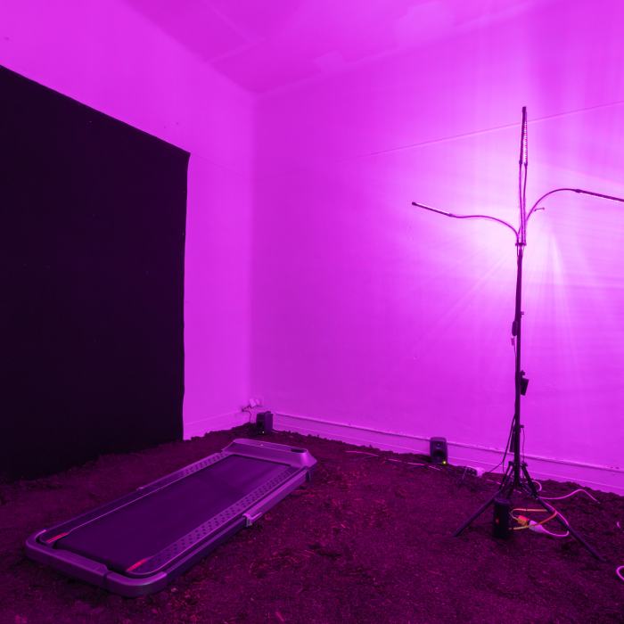 Nina Nicola Schipoff, Is anybody out there? Communication sans cerveau au-delà de ma perception, travail de Master
Photo: Yannick Abbruzzese  / EDHEA