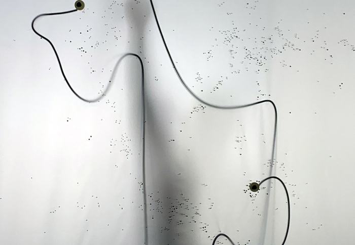 Claire Frachebourg, Extra-lactée (revers #2), 2022