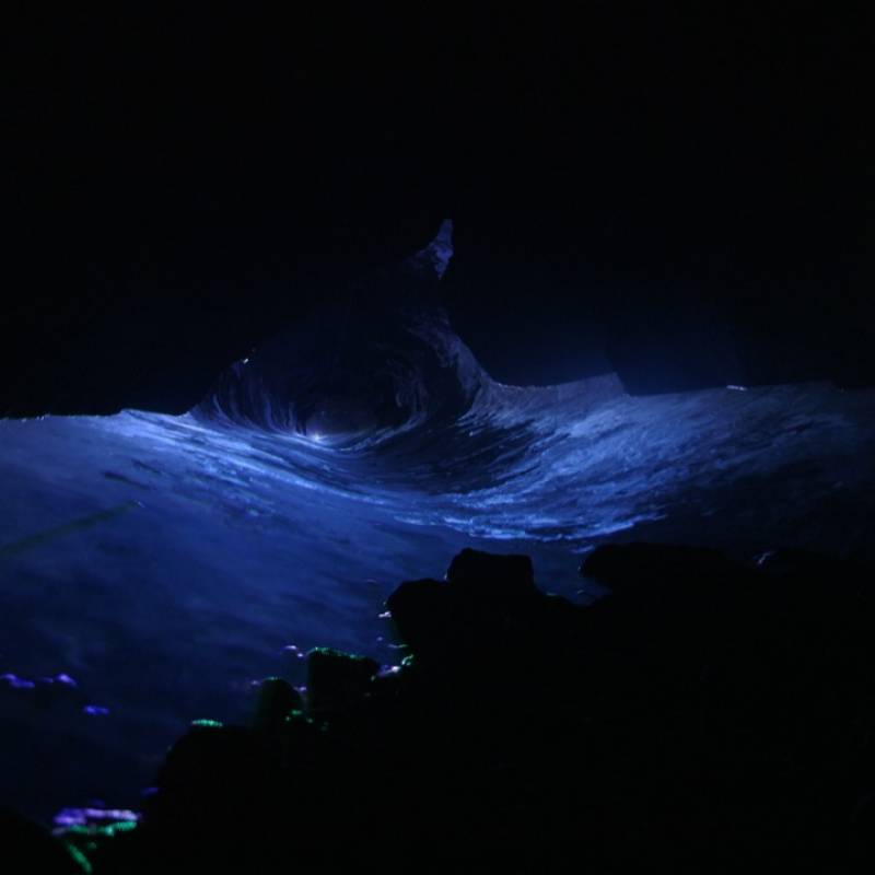 © Pauline Julier, La Grotte (2017) © Pauline Julier, La Grotte (2017)