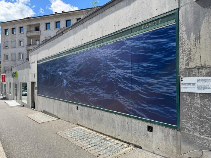 Rossella Biscotti, The Journey (Le voyage)